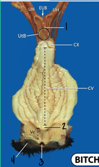 <p>What is 2?</p>
