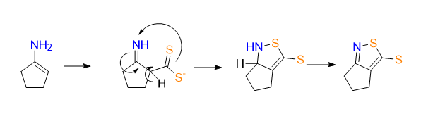 <p>Takehsima: Cyclopentanone first forms an enamine with ammonia. This enamine reacts with carbon disulfide to give an aminodithiocarboxylate intermediate. Elemental sulfur then promotes oxidative intramolecular N–S bond formation, closing the isothiazole ring. Finally, under the basic ammoniacal conditions, the thione is present as the ammonium thiolate salt.</p>