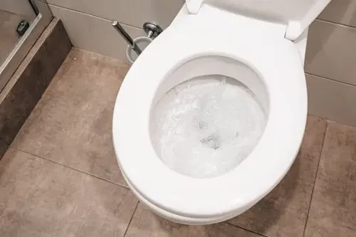 <p>Toilet</p>