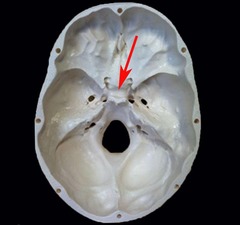 <p>Identify this part.</p>