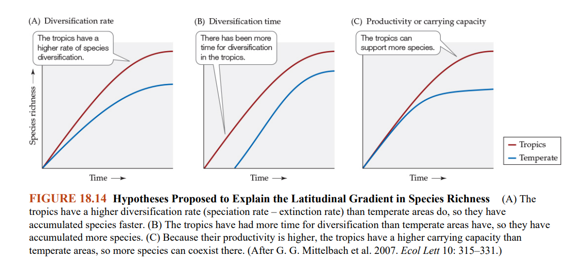 <ul><li><p>the tropics have the most land area on earh, and temperatures are very stable</p></li><li><p>large thermally similar areas should have low extinction rates, population sizes and geopgraphic ranges would be larger</p></li><li><p>speciation by geographic isolation would be more likely</p></li><li><p>first graph on image</p></li></ul><p></p>