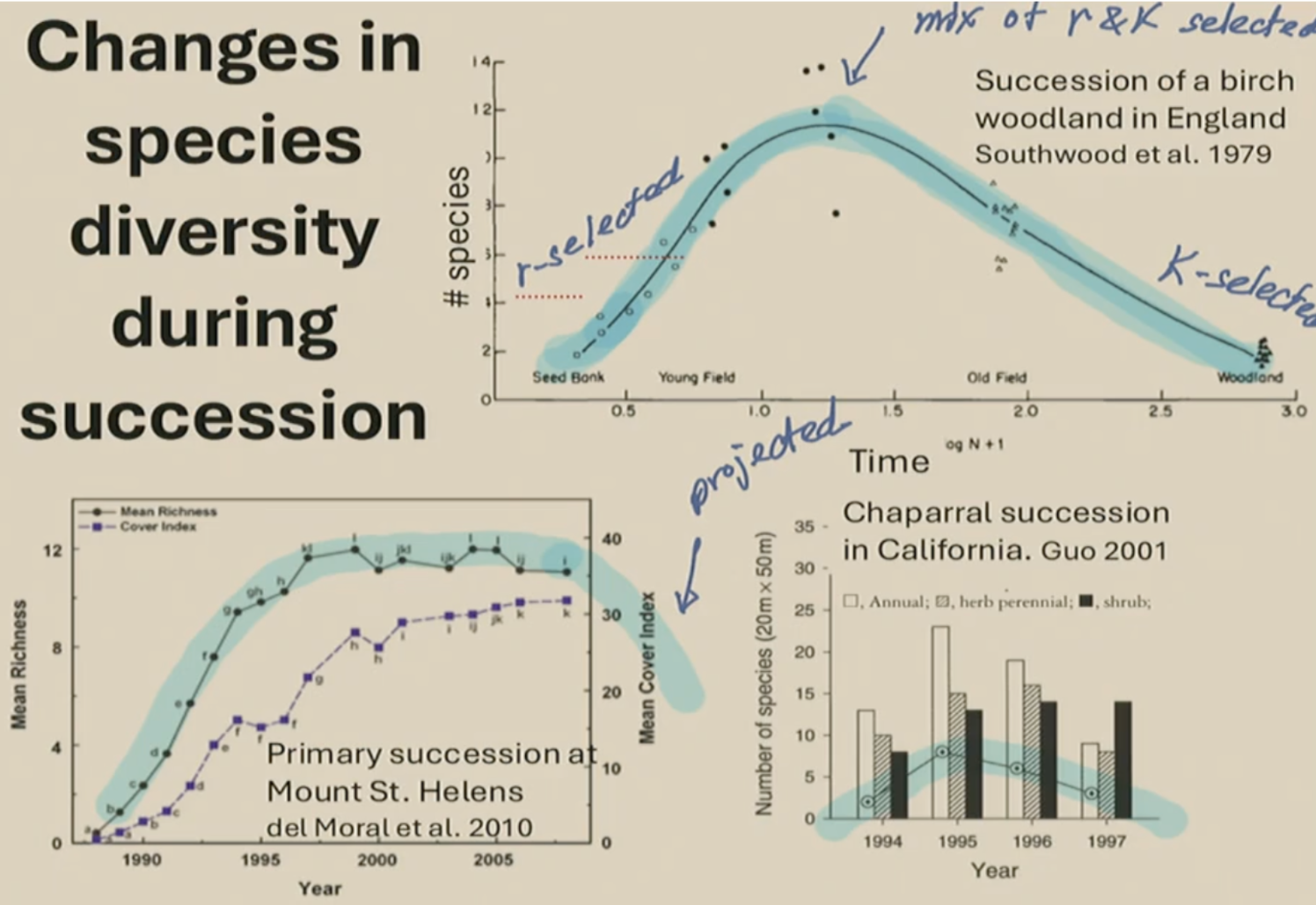 <p>- the <strong>first organism to colonize barren environments</strong> or recently disturbed ecosystems</p><ul><li><p>do best only when other species are absent</p></li><li><p>occupation by pioneer species usually means that additional pioneer colonization will be inhibited</p></li><li><p>usually common initially then decrease in frequency</p></li></ul><p></p><p><strong>r-selected </strong>species:</p><ul><li><p>mature quickly but shorter lifespan</p></li><li><p>small</p></li><li><p>semelparous (reproduce once in lifetime) but produce greater # of offspring</p></li><li><p>tolerant to harsh environment</p></li><li><p>less competitive</p></li></ul><p></p><p>EX: grasses &amp; ferns, lichens &amp; mosses, Nitrogen-Fixing plants</p>