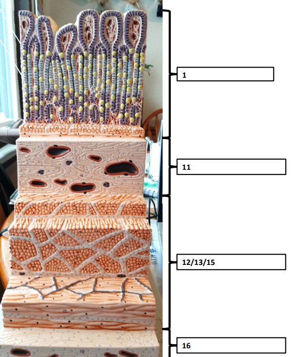 <p>Label this image.</p>