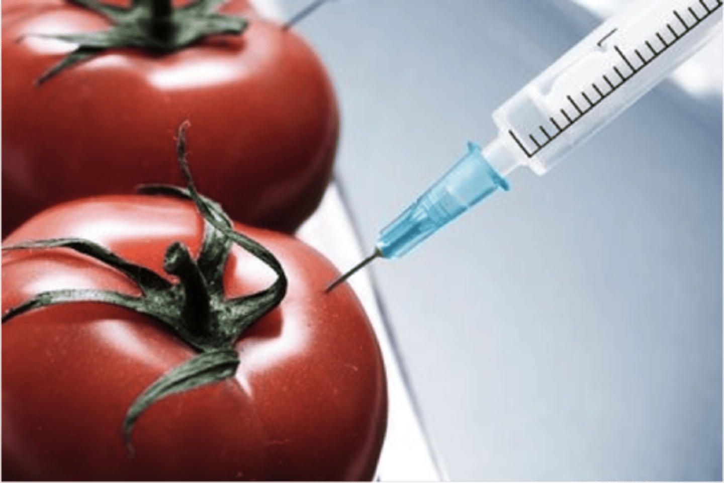 <p>The use of organisms to make products to improve human lives.</p>