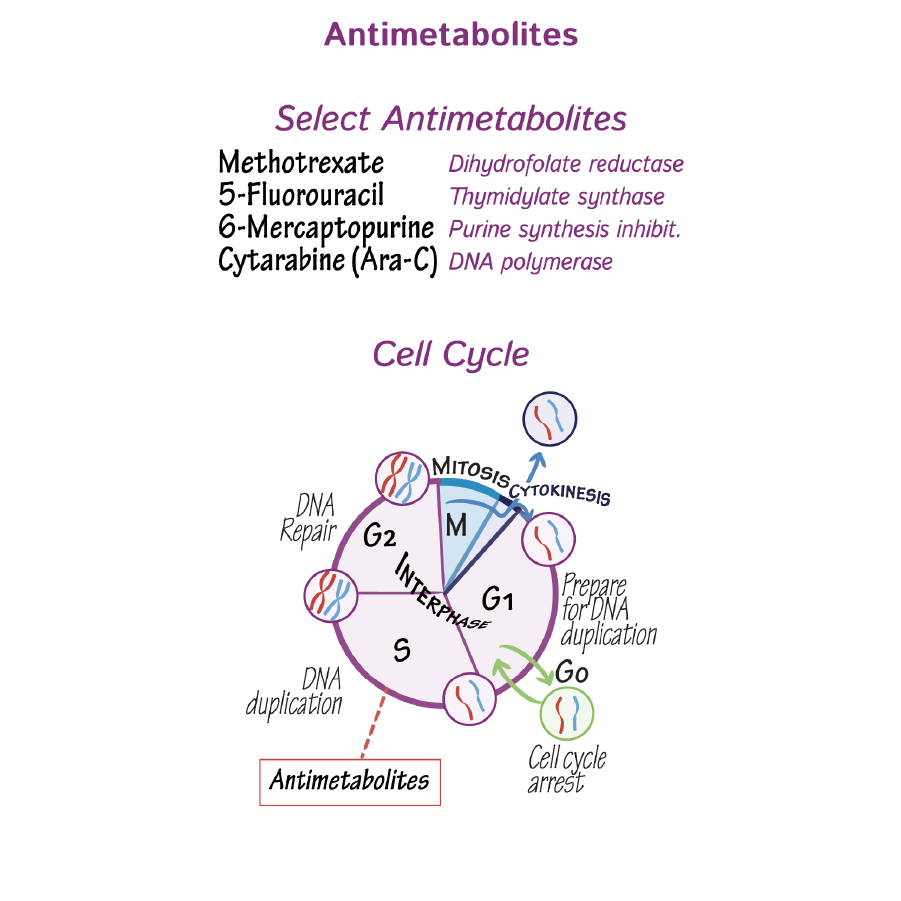 <p>cytotoxic agent category: antimetabolites </p>