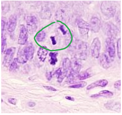 <p>What is happening and where?</p>