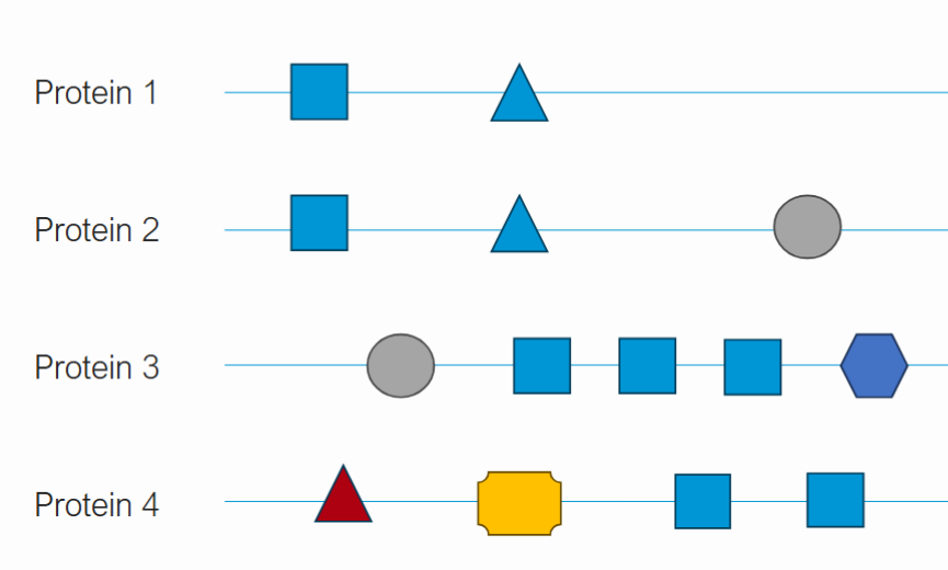 <p>How can proteins have related but distinct functions?</p>