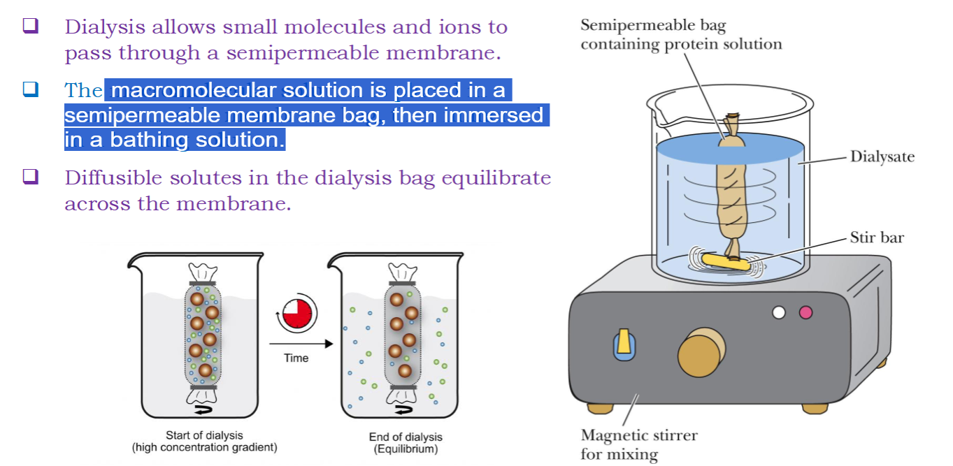 <p><span><strong>Dialysis allows small molecules and ions to pass through a semipermeable membrane</strong></span></p><ul><li><p><span> macromolecular solution is placed in a semipermeable membrane bag, then immersed in a bathing solution.</span></p></li><li><p><span>Diffusible solutes in the dialysis bag equilibrate across the membrane.</span></p></li></ul><p></p>