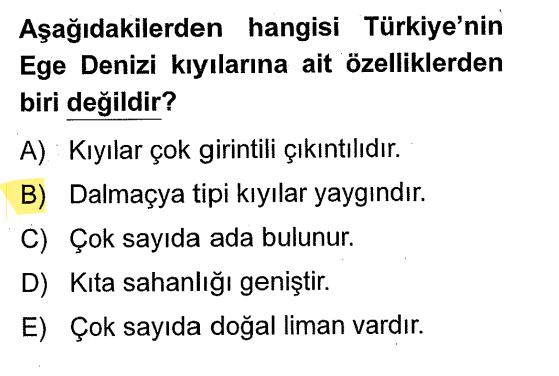 <p>Ege'de dağlar denize dik uzandığı için <strong>Enine Kıyı Tipi</strong> görülür. Dalmaçya kıyı tipi Türkiye'de sadece Antalya-Kaş-Finike çevresinde görülür.</p>