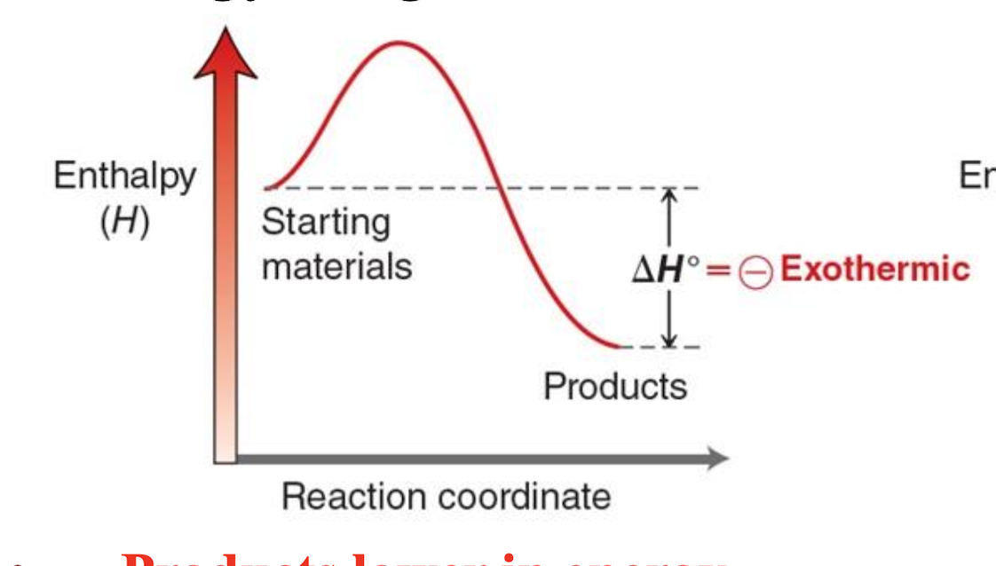 <p>Explain what is happening in an exothermic energy diagram</p>
