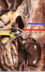 <p>what is the red line pointing to?</p>