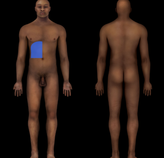 term image