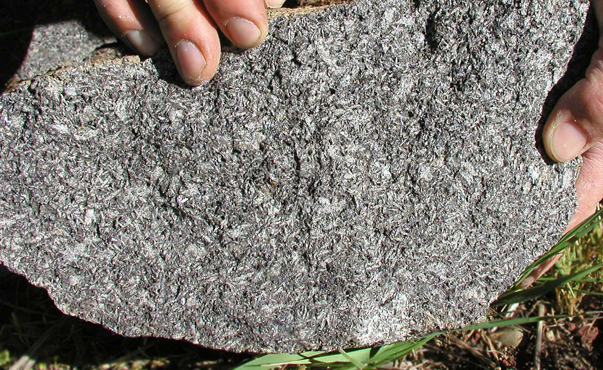 <p>Texture of certain basalts containing abundant angular interstitial gas cavities. </p>