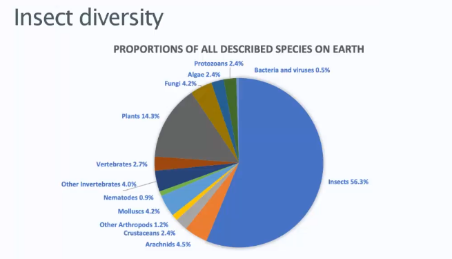 <p>56%</p>