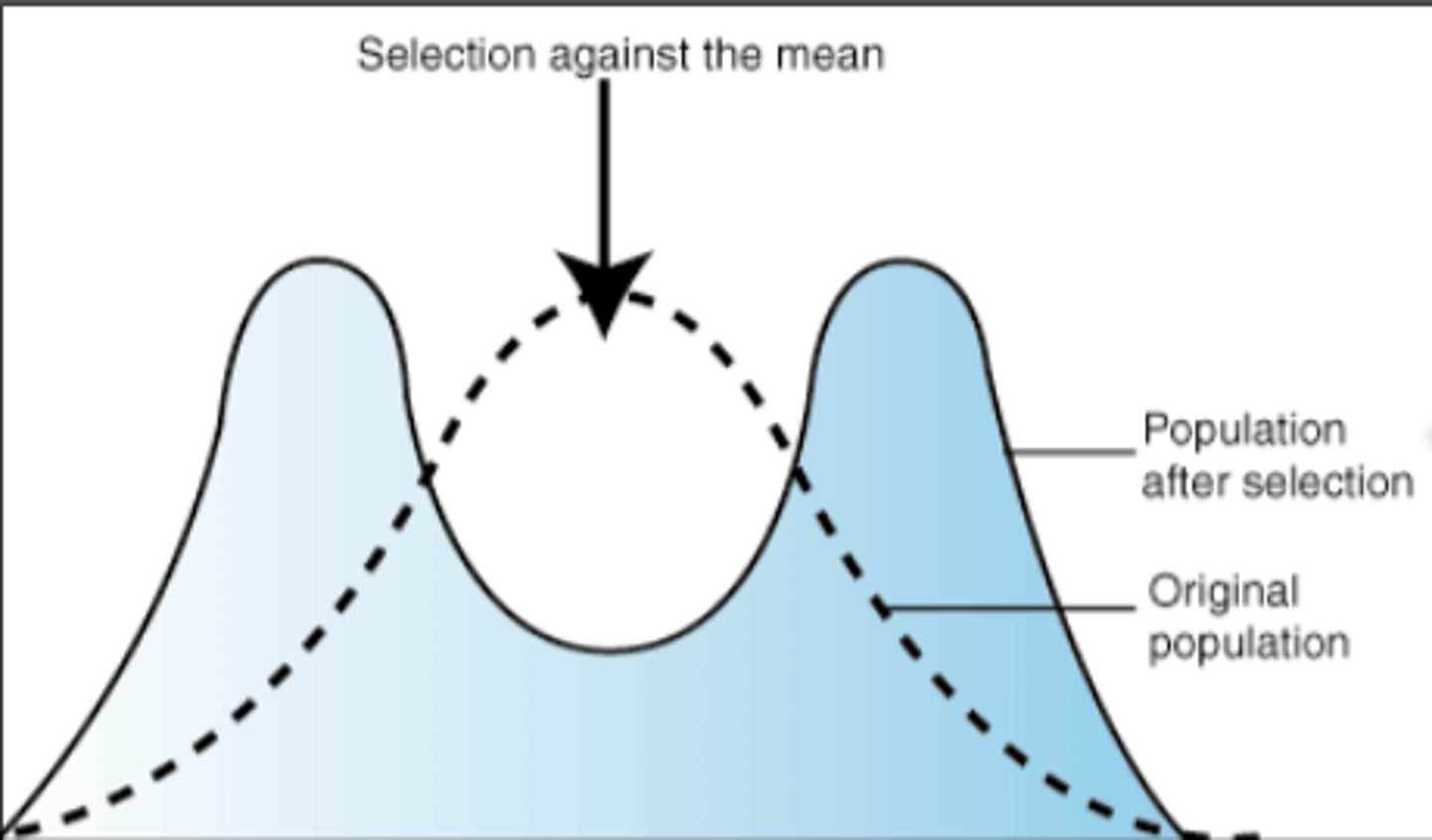 <p>selects for phenotypes at both ends of the spectrum</p><p>favors the extreme</p>