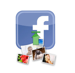 <p>fā zhào piàn</p><p>to send photos</p>