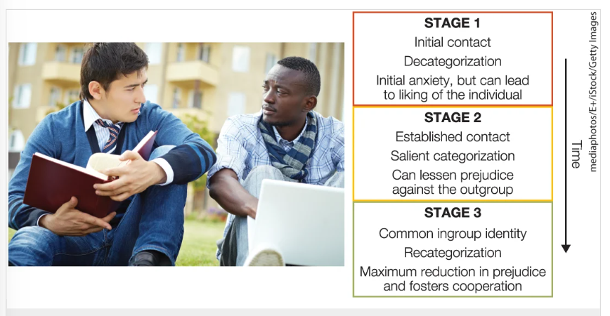 <p><span>Positive contact with an individual from an outgroup is most likely to generalize to the outgroup as a whole when group categorization processes are initially reduced but then reintroduced over time.</span></p><p><span>1: initial contact &amp; decategorization</span></p><p><span>2: salient categorization</span></p><p><span>3: common ingroup identity, recategorization</span></p><p></p><p>overall impression of outgroup changes if he regards the single person as representative of outgroup as a whole</p><ul><li><p>if he sees the single person as unlike the whole outgroup, then his positive feelings are only towards the person and not to broader view of outgroup</p></li></ul><p></p>