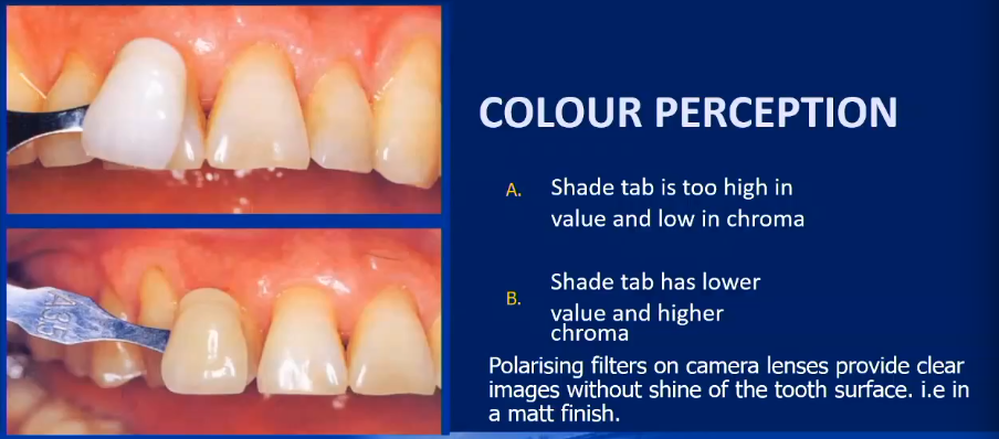 <p>Shine and gloss reduces perception on what the actual value and chroma is</p>