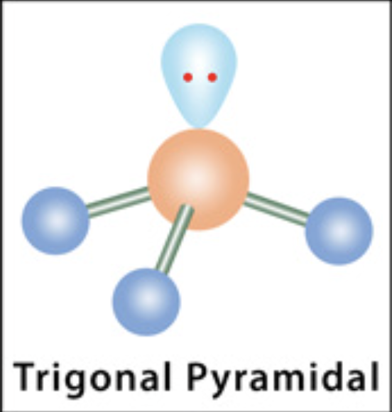 <p>Trigonal Pyramidal</p>