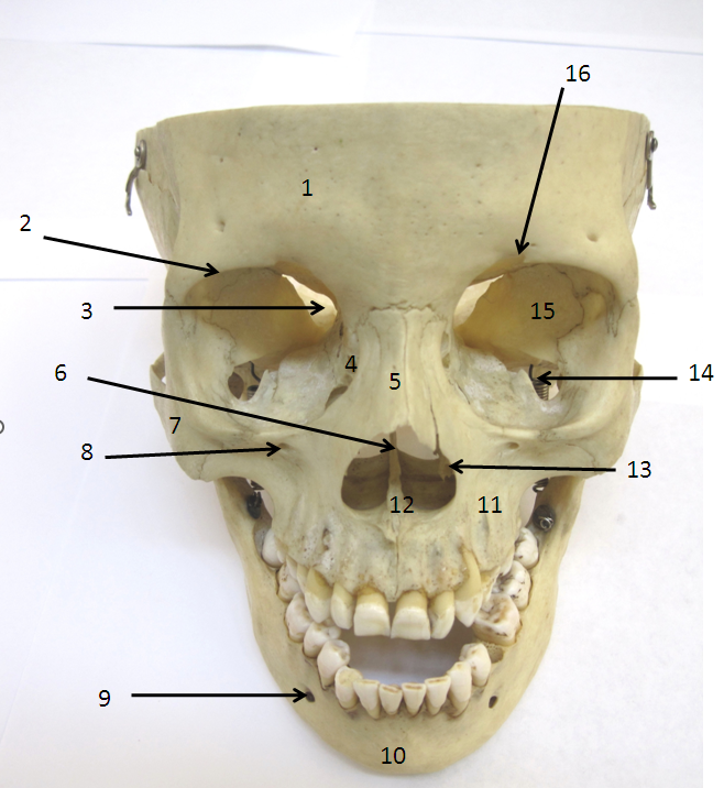 term image