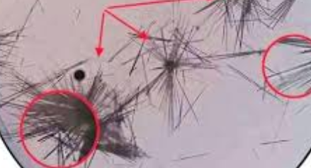 <p>what crystal is this, is it acidic or akaline?</p>