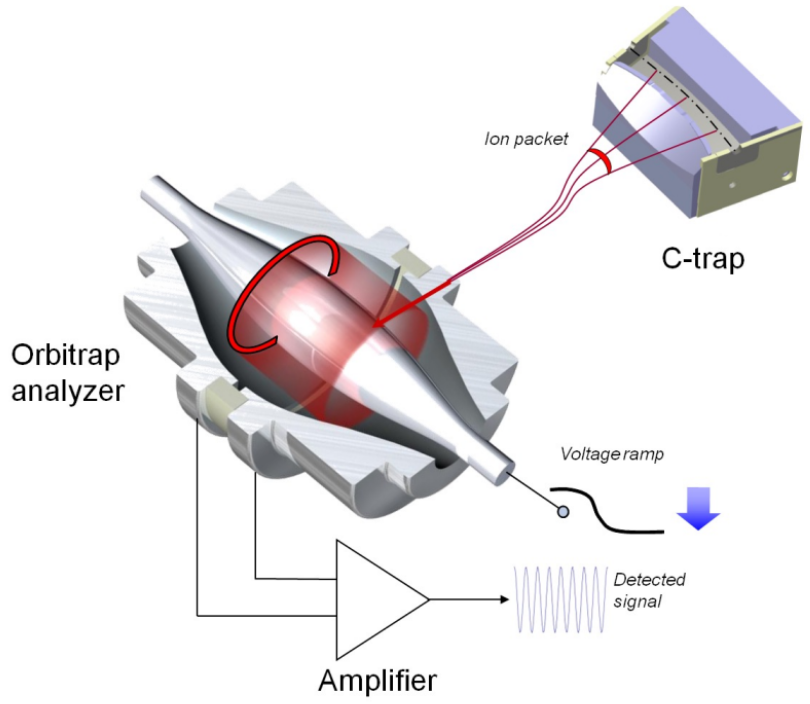 <p>Orbitrap Figures </p>