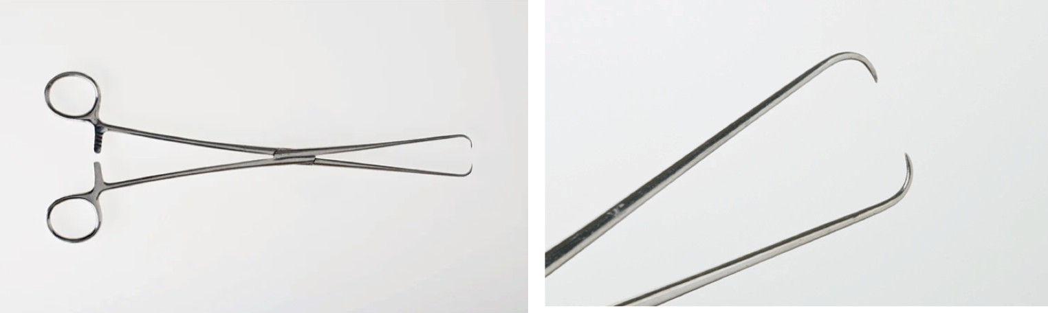 <p>Single tooth tenaculum</p>