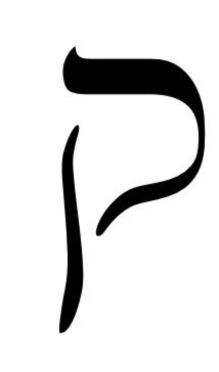 term image