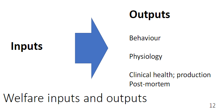 <p><strong>Categories</strong><br> <strong>Behaviour</strong> – observable actions reflecting welfare<br> <strong>Physiology</strong> – internal body responses (e.g., stress responses)<br> <strong>Clinical health / production</strong> – disease status and production performance<br> <strong>Post-mortem</strong> – findings after death indicating past welfare</p>