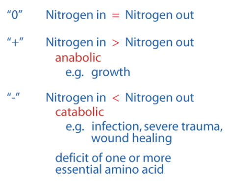 <p>What state are we in if more nitrogen is excreted than ingested</p>