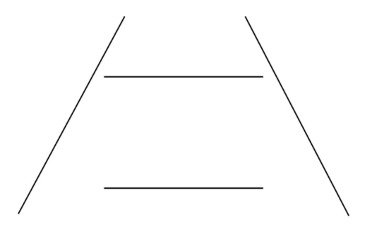 <p>Depth cues make identical lines appear different in size</p>