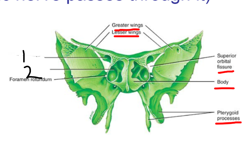 <p>2</p>