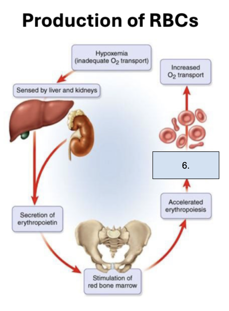 <p>What is happening in this step?</p>