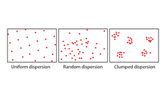 <p>The farness of specific variables, or the way something is spread out over an area. Example: Farmhouses dispersed far apart across the Great Plains.</p>