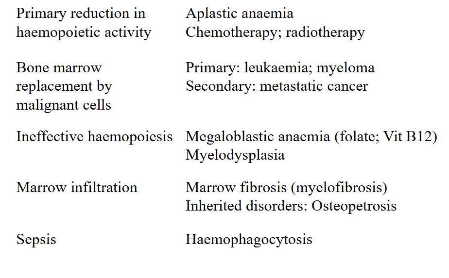 <p>Causes of Bone Marrow Failure</p>