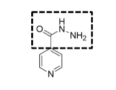 <ul><li><p>HBA (HBD if containing NH)</p></li><li><p>basic</p></li><li><p>stable</p></li><li><p>phase 1: hydrolysis (to carboxylic acid?)</p></li><li><p>phase 2: acylation</p></li></ul><p></p>