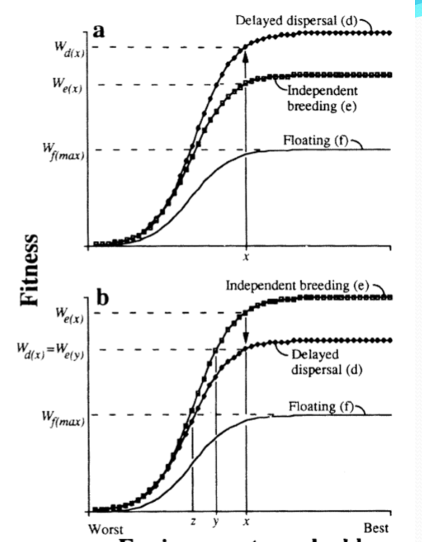 <p>delayed dispersal</p>