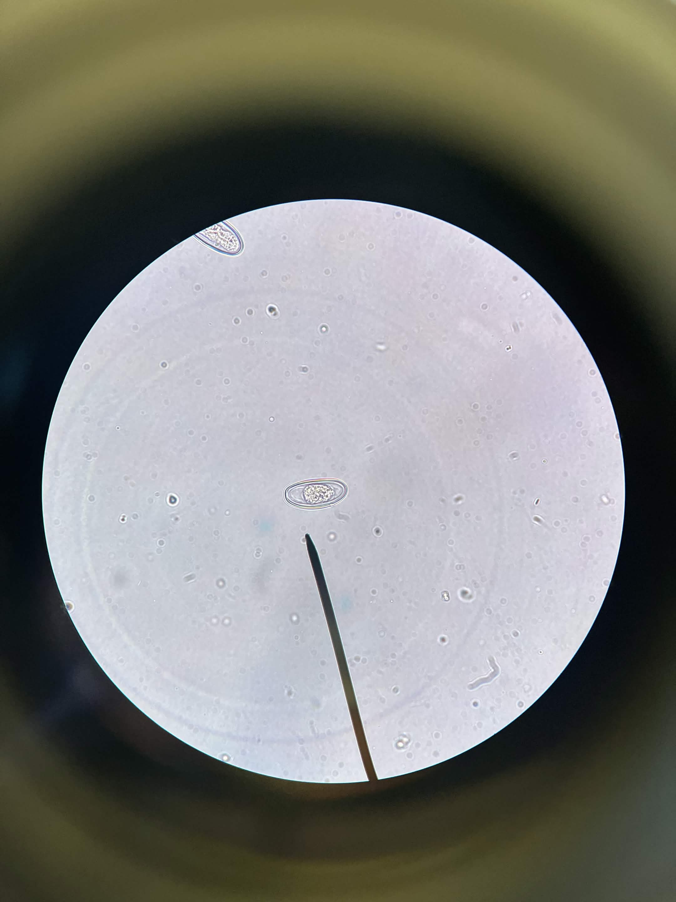 <p>What is this?</p>