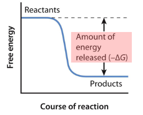 <p>Is this an endergonic or exergonic reaction? is it spontaneous or nonspontaneous?</p>