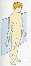 <p>Divides the body, or any body structure, vertically into front and(anterior and posterior) sections. Runs vertically through the body at right angle to the midline.</p>