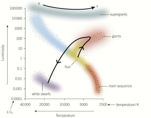 <p>It is a graph of luminosity against surface temperature of stars.</p><p>It shows star classification and stages of stellar evolution.</p><p>Main sequence, red giants, super red giants and white dwarfs can be identified on it.</p>