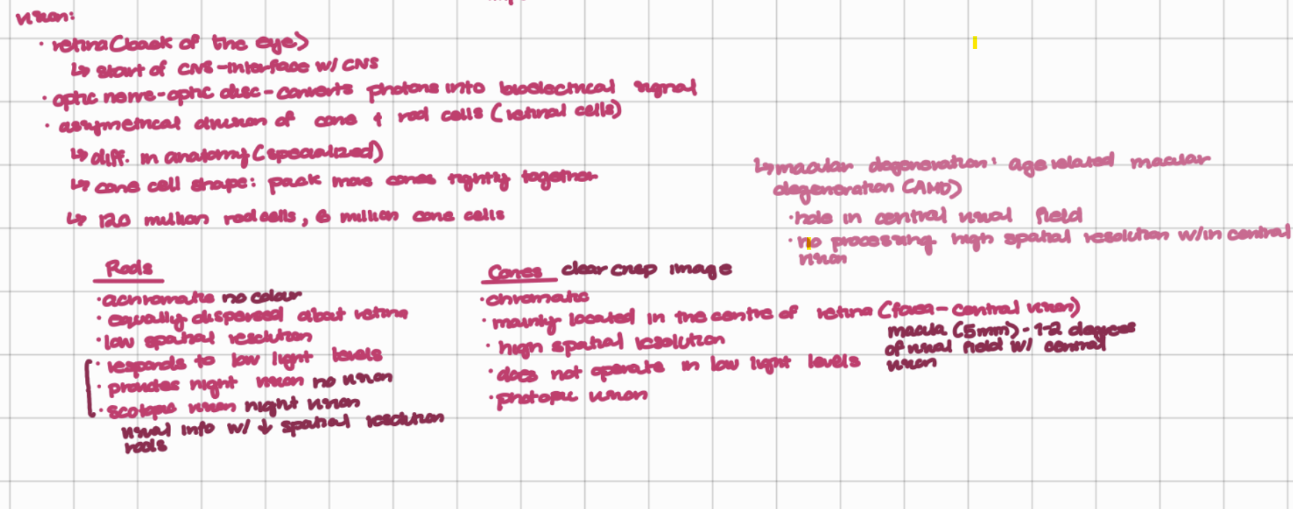 knowt flashcard image