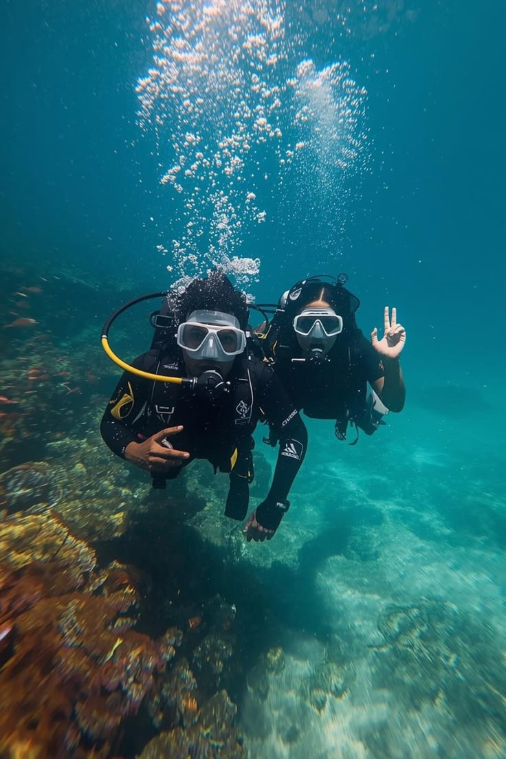 <p>scuba diving</p>