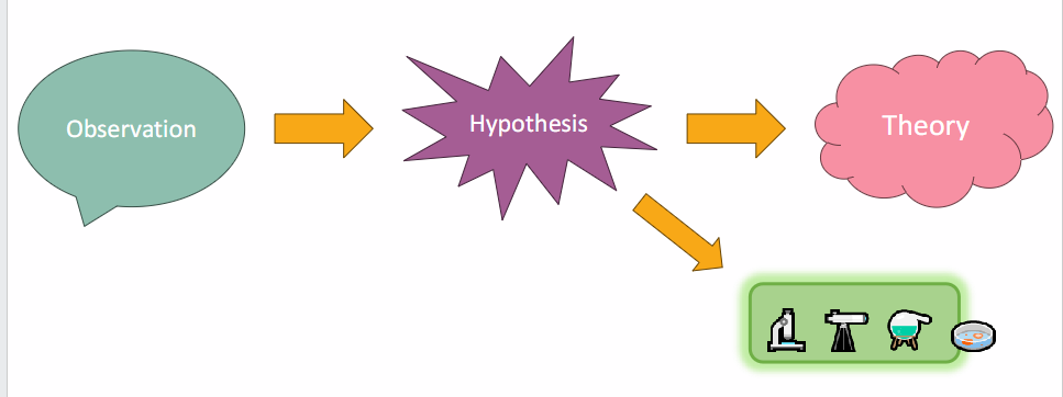 <p>Qualitative research can help when the construct is subjective and not directly observable, such as pain.</p><p>Researchers can ask people about their experiences to:</p><p>- Generate hypotheses.</p><p>- Better define the underlying construct.</p><p>- Develop measurement tools that correspond more closely with reality.</p>
