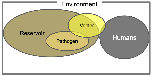 <p>Infectious agents transmitted to organisms of one species through action of another species </p>