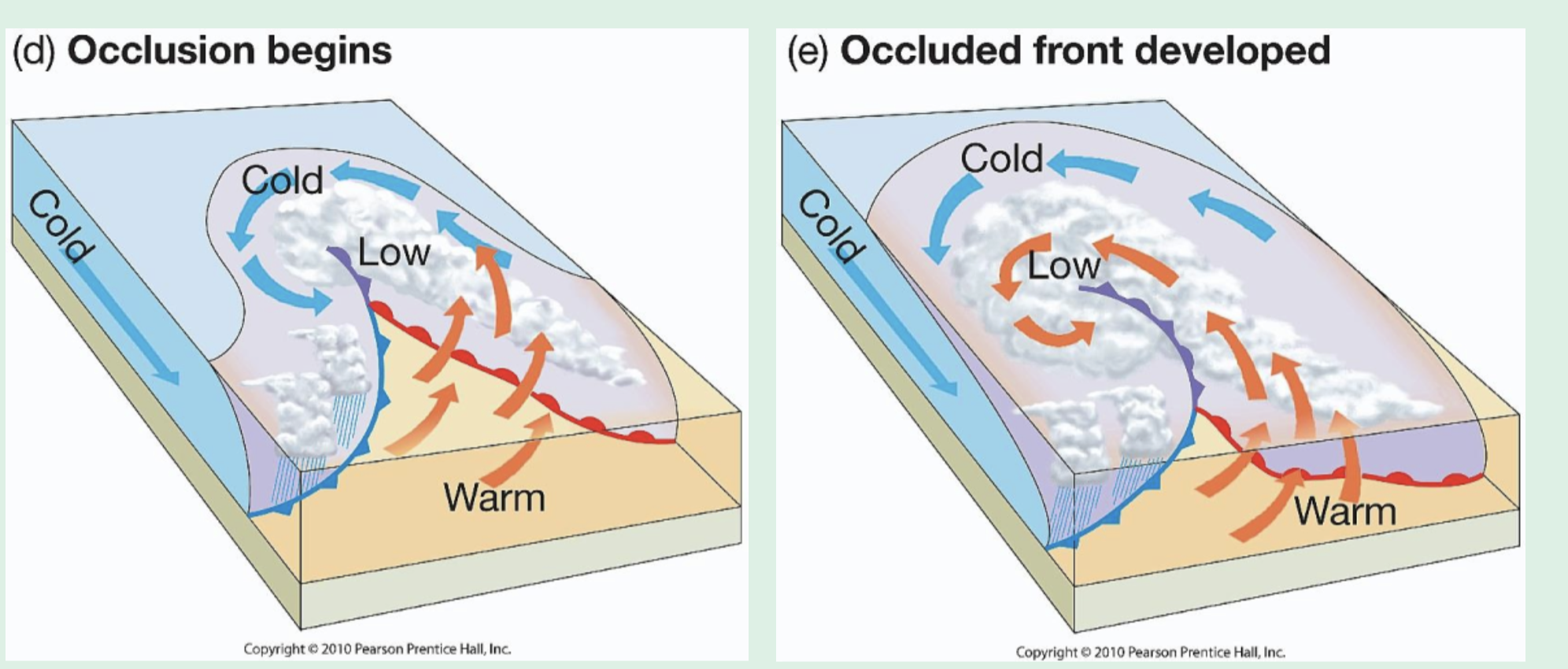 <p><strong>third stage of formation of midlatitude cyclone </strong></p><p>• Cold fronts move faster than warm fronts</p><p>• Eventually, it catches up with warm front</p><p>• Creates an occluded front</p><p>• Intense precipitation can be generated as all warm, humid air is lifted upwards</p>