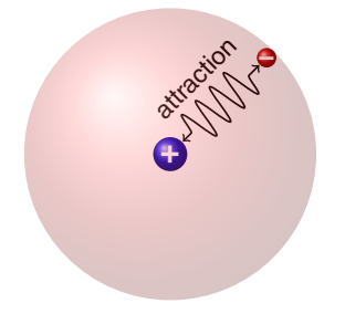 <p>one electron </p><p>the electron nucleus interaction is electrostatic because they have electric charges</p>