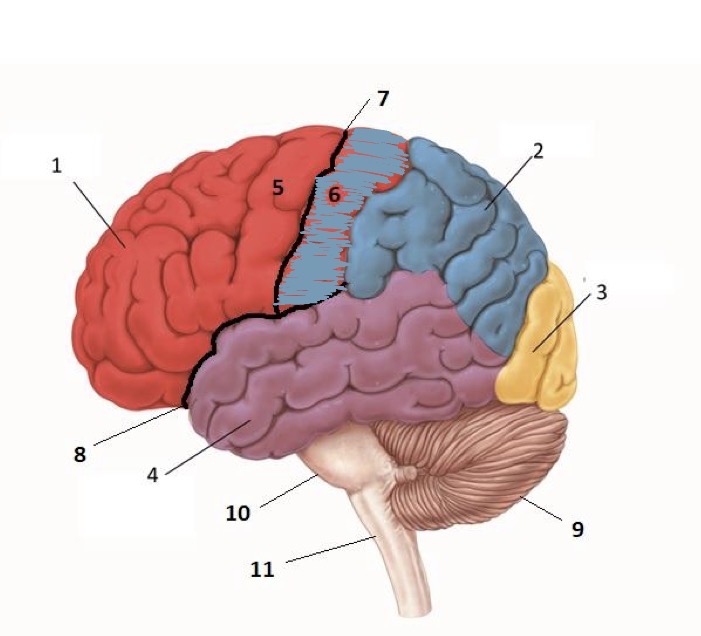 <p>What is 8?</p>