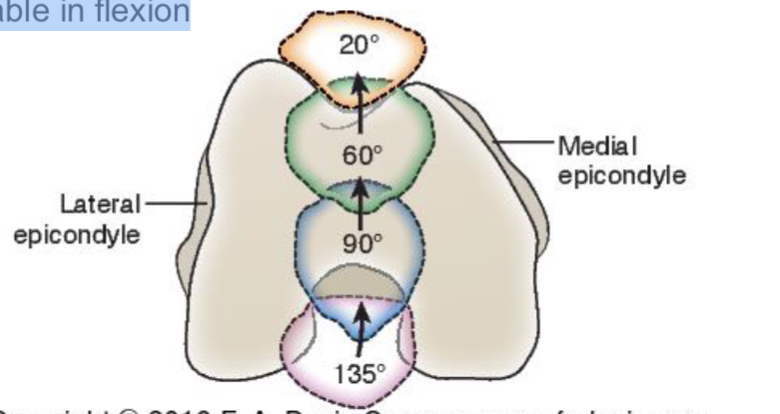 <p><span><strong>Little to no contact in extension</strong></span></p><ul><li><p><span>Variations in starting position</span></p></li><li><p><span>Implications for stability: <strong>increased </strong>patella + femur contact press w/ <strong>flex</strong><br></span></p></li></ul><p><span><strong>Variable contact pressures in flexion</strong></span></p><ul><li><p><span>More stable in flexion (60-90 dg)</span></p></li></ul><p></p>