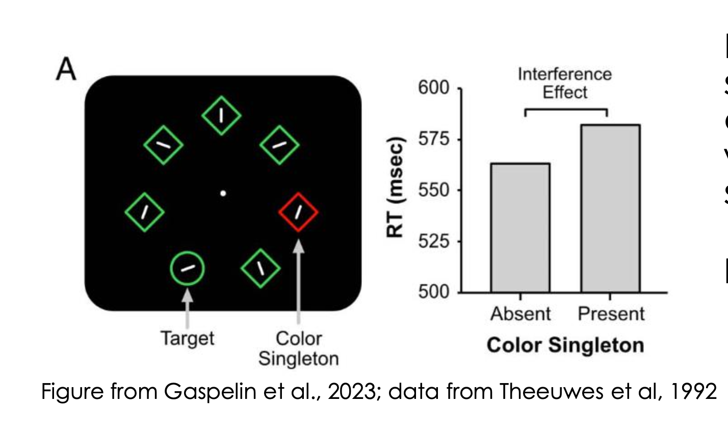 <ul><li><p>Reaction times for identifying line orientation are slower when there is a colour singleton present</p></li><li><p>indicating how salient stimuli capture our attention + interfere with processing</p></li></ul><p>**supports that we have limited attentional resources </p><p></p>